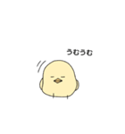 ピヨコ•ө•（個別スタンプ：13）