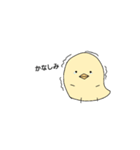 ピヨコ•ө•（個別スタンプ：16）