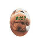 ちょこくん☀︎（個別スタンプ：6）