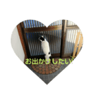 ネコのみーちゃん(みかんちゃん)♥️（個別スタンプ：8）