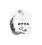 ニャン吉だにゃ〜         ฅ^•ω•^ฅ（個別スタンプ：2）