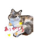 エミィちゃんスタンプ（個別スタンプ：4）