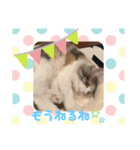 エミィちゃんスタンプ（個別スタンプ：6）
