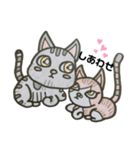 色鉛筆にゃんこ（個別スタンプ：1）