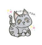 色鉛筆にゃんこ（個別スタンプ：5）