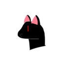 くろい、ねこ（個別スタンプ：16）