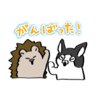 ハリネズミとブルドッグ。（個別スタンプ：37）