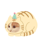 うちの猫達 金ちゃん（個別スタンプ：8）