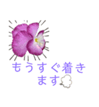 お花スタンプです（個別スタンプ：7）