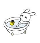 ノーコメントうさぎ 2（個別スタンプ：31）