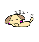 わんわんーくん（個別スタンプ：5）