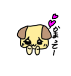 わんわんーくん（個別スタンプ：13）