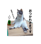 みみたん0505＊3（個別スタンプ：8）