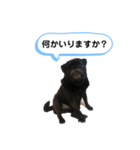 じわじわセブン3（個別スタンプ：7）
