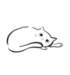 のんきでのんびり屋な白猫（個別スタンプ：26）