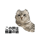 にぱるすうちねこ（個別スタンプ：3）