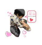 kondou.family（個別スタンプ：3）