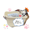 kondou.family（個別スタンプ：7）