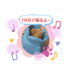 ぽんきちさんの3（個別スタンプ：2）