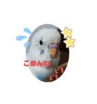 ぽんきちさんの3（個別スタンプ：4）