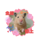 ぽんきちさんの3（個別スタンプ：5）
