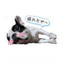 ふれぶるらんまる（個別スタンプ：3）