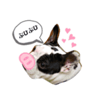 ふれぶるらんまる（個別スタンプ：8）