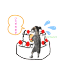 I♥ハンちゃんよく使う言葉（個別スタンプ：4）