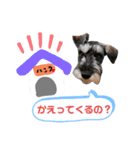 I♥ハンちゃんよく使う言葉（個別スタンプ：5）