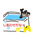 I♥ハンちゃんよく使う言葉（個別スタンプ：8）