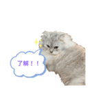 ジジ♡♡（個別スタンプ：1）