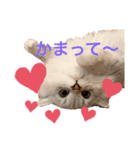 ジジ♡♡（個別スタンプ：4）