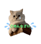 ジジ♡♡（個別スタンプ：7）