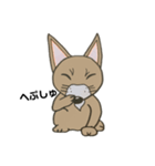 色鉛筆わんこ2（個別スタンプ：5）