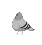 喋るデブ鳥たち（個別スタンプ：1）