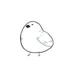 喋るデブ鳥たち（個別スタンプ：5）