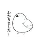 喋るデブ鳥たち（個別スタンプ：6）