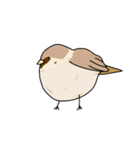 喋るデブ鳥たち（個別スタンプ：29）