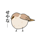 喋るデブ鳥たち（個別スタンプ：31）