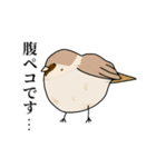 喋るデブ鳥たち（個別スタンプ：32）