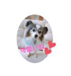 愛犬キロ君（個別スタンプ：4）