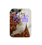 岩崎ちくわ（個別スタンプ：8）