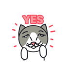 悲しい猫ルル（個別スタンプ：5）