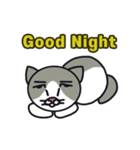 悲しい猫ルル（個別スタンプ：15）