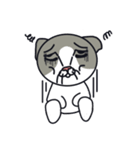 悲しい猫ルル（個別スタンプ：19）