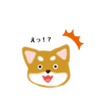 かわいい柴犬スタンプ♡（個別スタンプ：3）