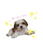 れおんだよ！（個別スタンプ：2）