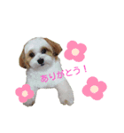 れおんだよ！（個別スタンプ：6）