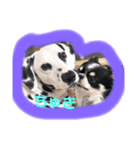 my name DALU（個別スタンプ：2）