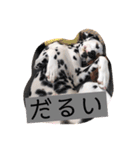 my name DALU（個別スタンプ：4）